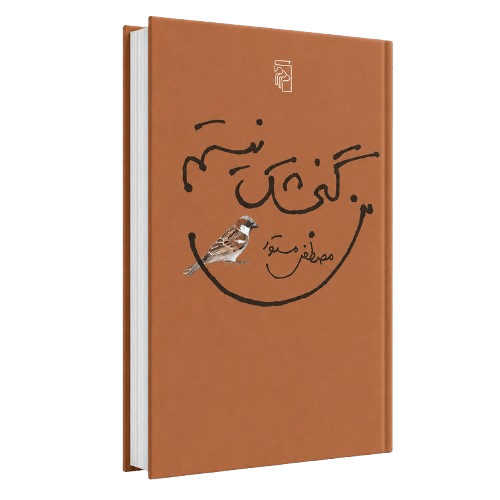 کتاب من گنجشک نیستم اثری از مصطفی مستور